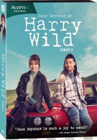 Harry Wild - Series 3 [DVD]