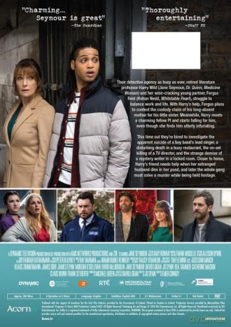 Harry Wild - Series 3 [DVD]