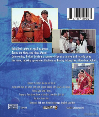 Hum Hain Rahi Pyar Ke [Blu-Ray]