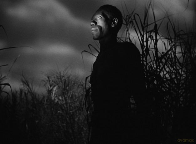 I Walked with a Zombie / The Seventh Victim (The Criterion Collection) [Blu-Ray]