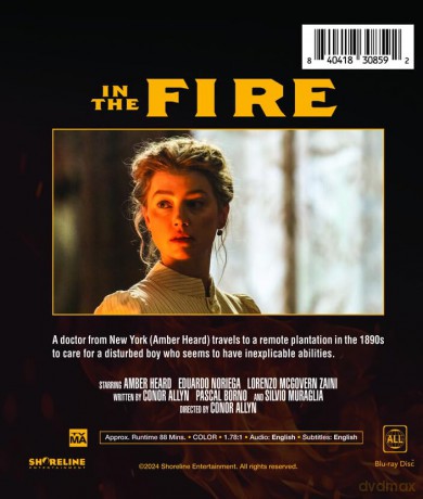 In the Fire [Blu-Ray]