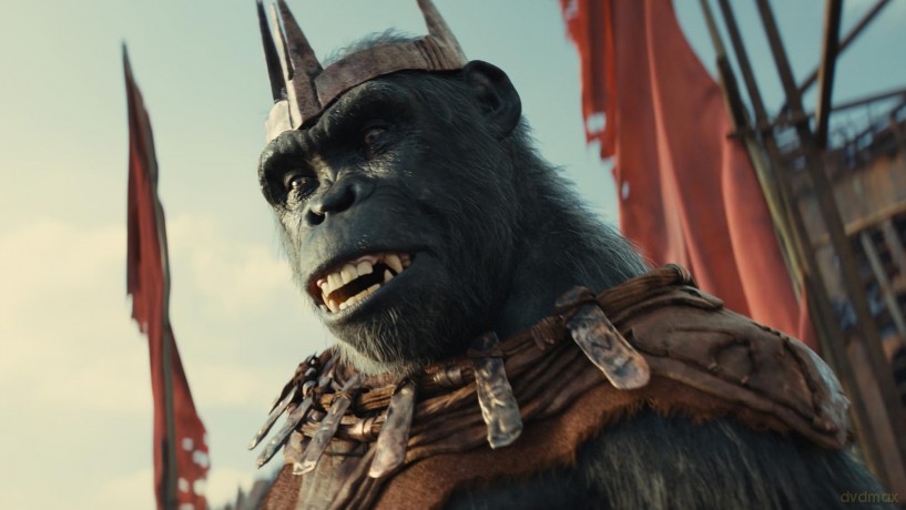 Kingdom Of The Planet Of The Apes (Królestwo Planety Małp) [Blu-Ray]