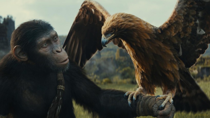 Kingdom Of The Planet Of The Apes (Królestwo Planety Małp) [Blu-Ray]