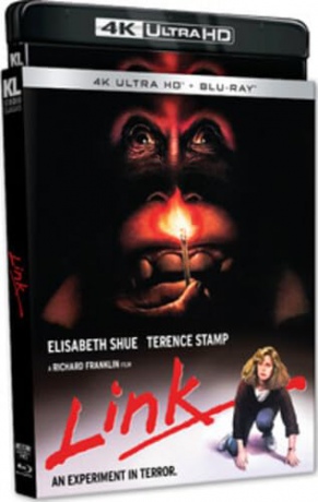 Link [Blu-Ray 4K]