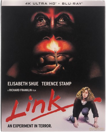 Link [Blu-Ray 4K]