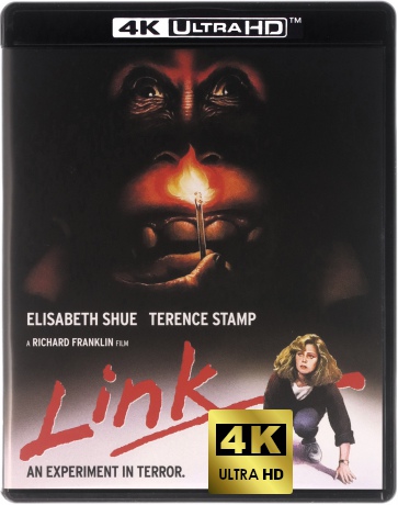 Link [Blu-Ray 4K]