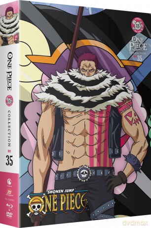 One Piece - Collection 35 [DVD]