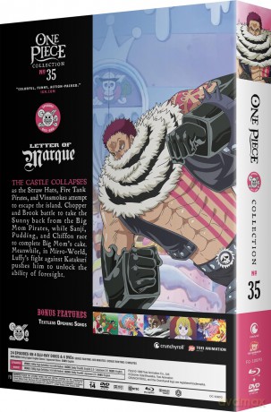 One Piece - Collection 35 [DVD]