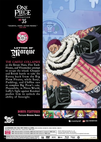 One Piece - Collection 35 [DVD]