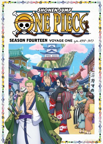 One Piece - Season 14 Voyage 1 [DVD]