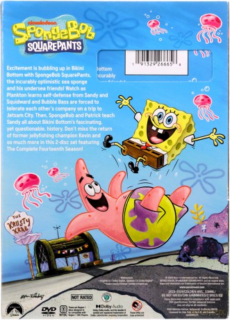 SpongeBob SquarePants Season 14 [DVD]