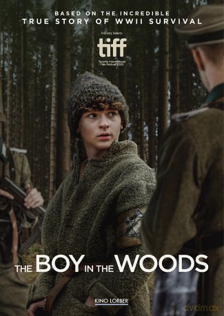 The Boy in the Woods [DVD]