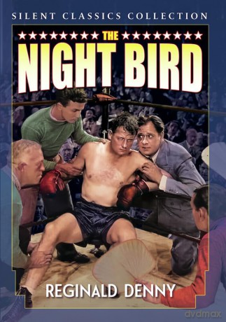 The Night Bird (Silent) [DVD]