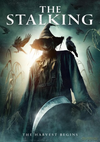 The Stalking [DVD]