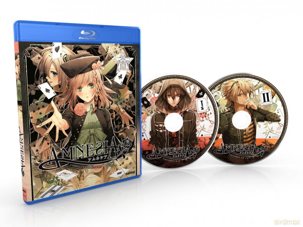 Amnesia [DVD]