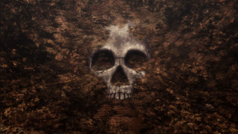 Beautiful Bones [DVD]