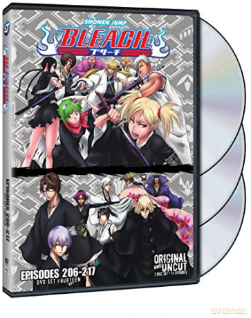 Bleach Uncut Set 14 (DVD) [DVD]