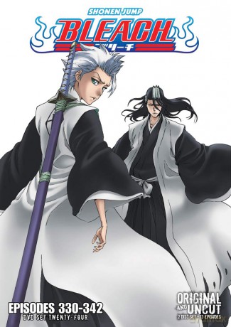 Bleach Uncut Set 24 (DVD) [DVD]