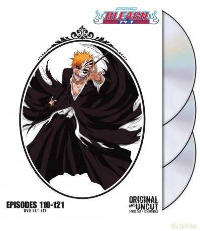 Bleach: Box Set 6 (Uncut) [DVD]
