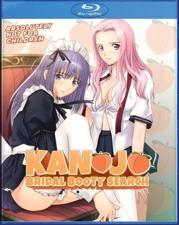 Bridal Booty Search [DVD]