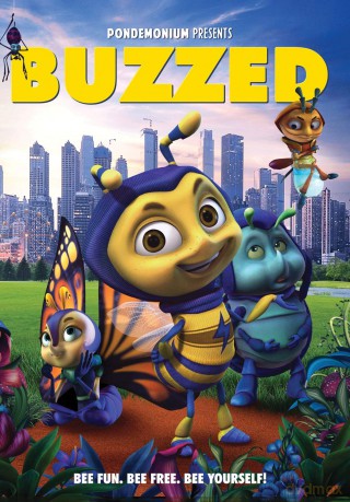 Buzzed [DVD]