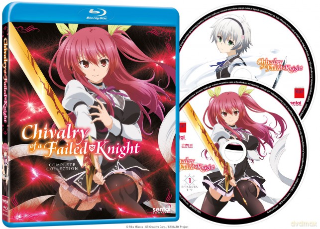 Chivalry Of A Failed Knight [DVD]