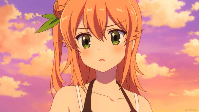 Demon Girl Next Door [DVD]