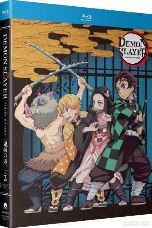 Demon Slayer: Kimetsu no Yaiba Standard Edition - Part Two [DVD]