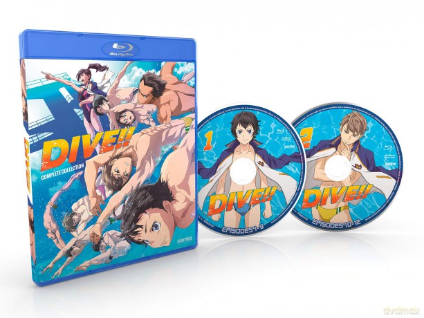 Dive [DVD]