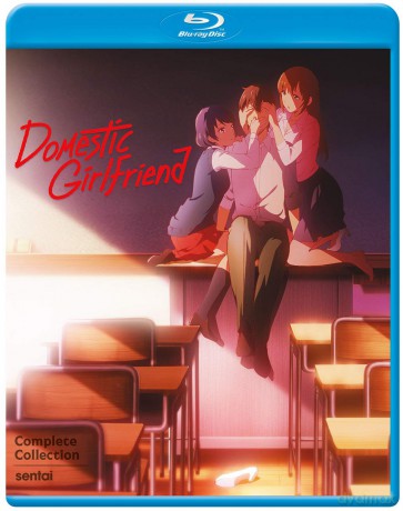 Domestic Girlfriend [DVD]