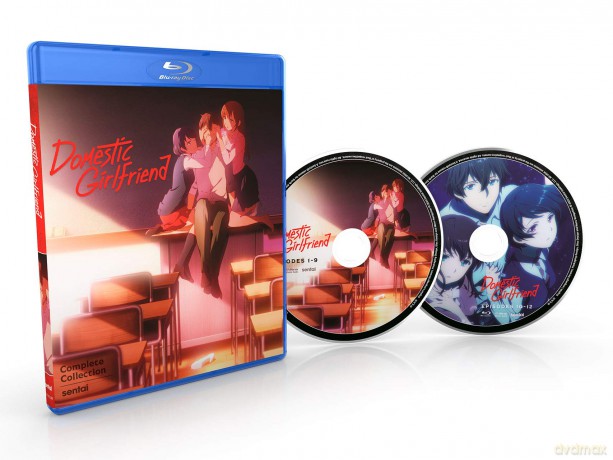 Domestic Girlfriend [DVD]
