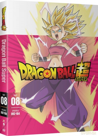 Dragon Ball Super: Part Eight [DVD]