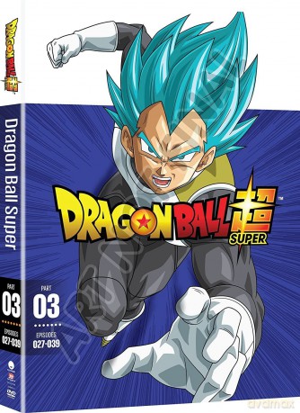 Dragon Ball Super: Part Three [DVD]