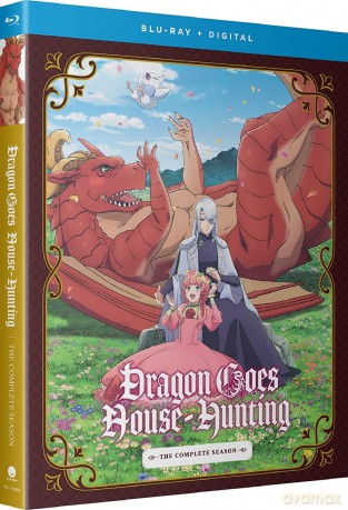 Dragon Goes House-Hunting [2xBlu-Ray]