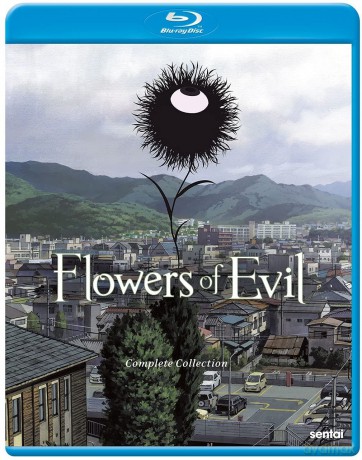 Flowers Of Evil [DVD]