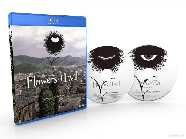 Flowers Of Evil [DVD]