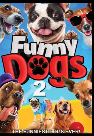 Funny Dogs 2 [DVD]
