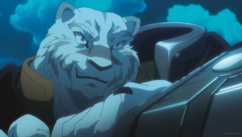 Grimoire Of Zero [DVD]