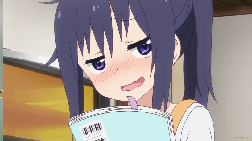 Himouto Umaru-Chan [DVD]