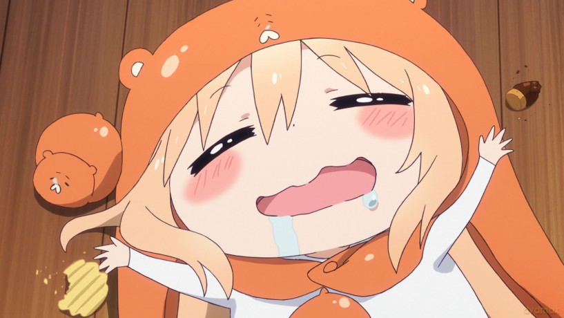 Himouto Umaru-Chan [DVD]