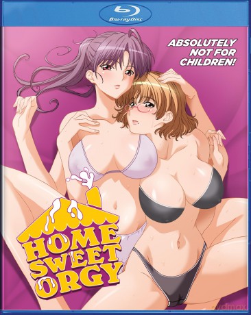 Home Sweet Orgy [DVD]
