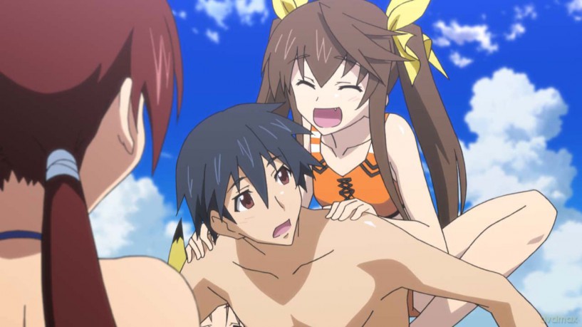 Infinite Stratos: Season 1 [DVD]