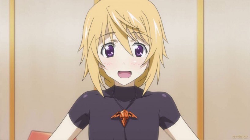 Infinite Stratos: Season 1 [DVD]