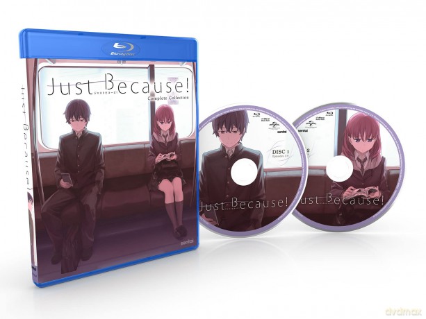 Just Because [DVD]