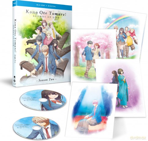 Kono Oto Tomare!: Sounds of Life - Season Two [Blu-Ray]