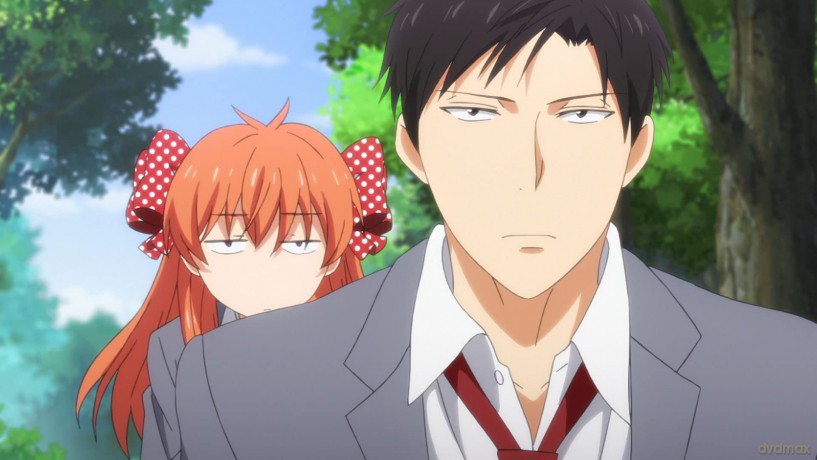 Monthly Girls' Nozaki-Kun [DVD]
