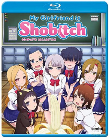 My Girlfriend Is Shobitch [DVD]