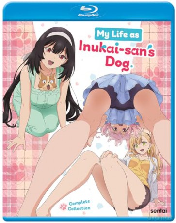 My Life as Inukai-san's Dog [Blu-Ray]
