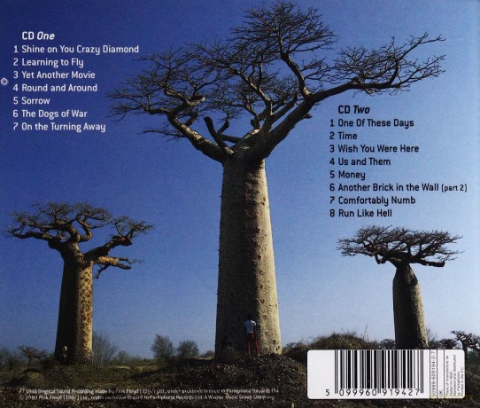 Pink Floyd: Delicate Sound Of Thunder [2CD]