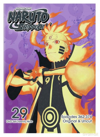 Naruto Shippuden Uncut Set 29 (DVD) [DVD]